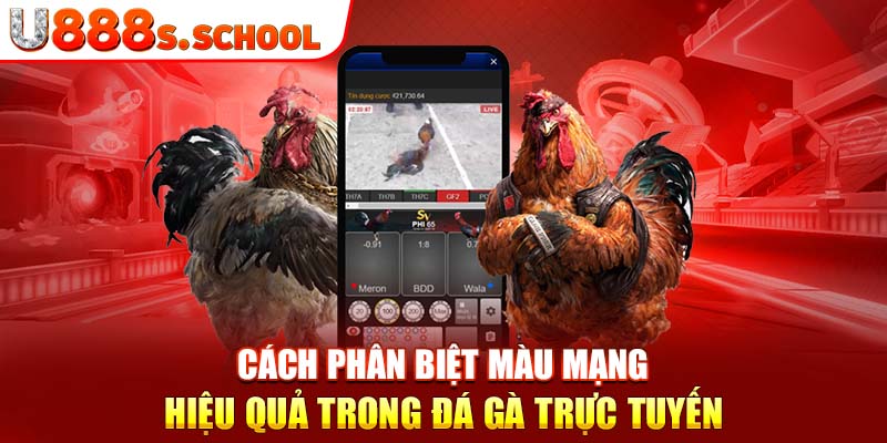 Cách phân biệt màu mạng hiệu quả trong đá gà trực tuyến