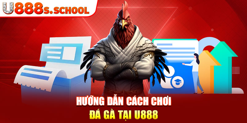 Hướng dẫn cách chơi đá gà tại U888